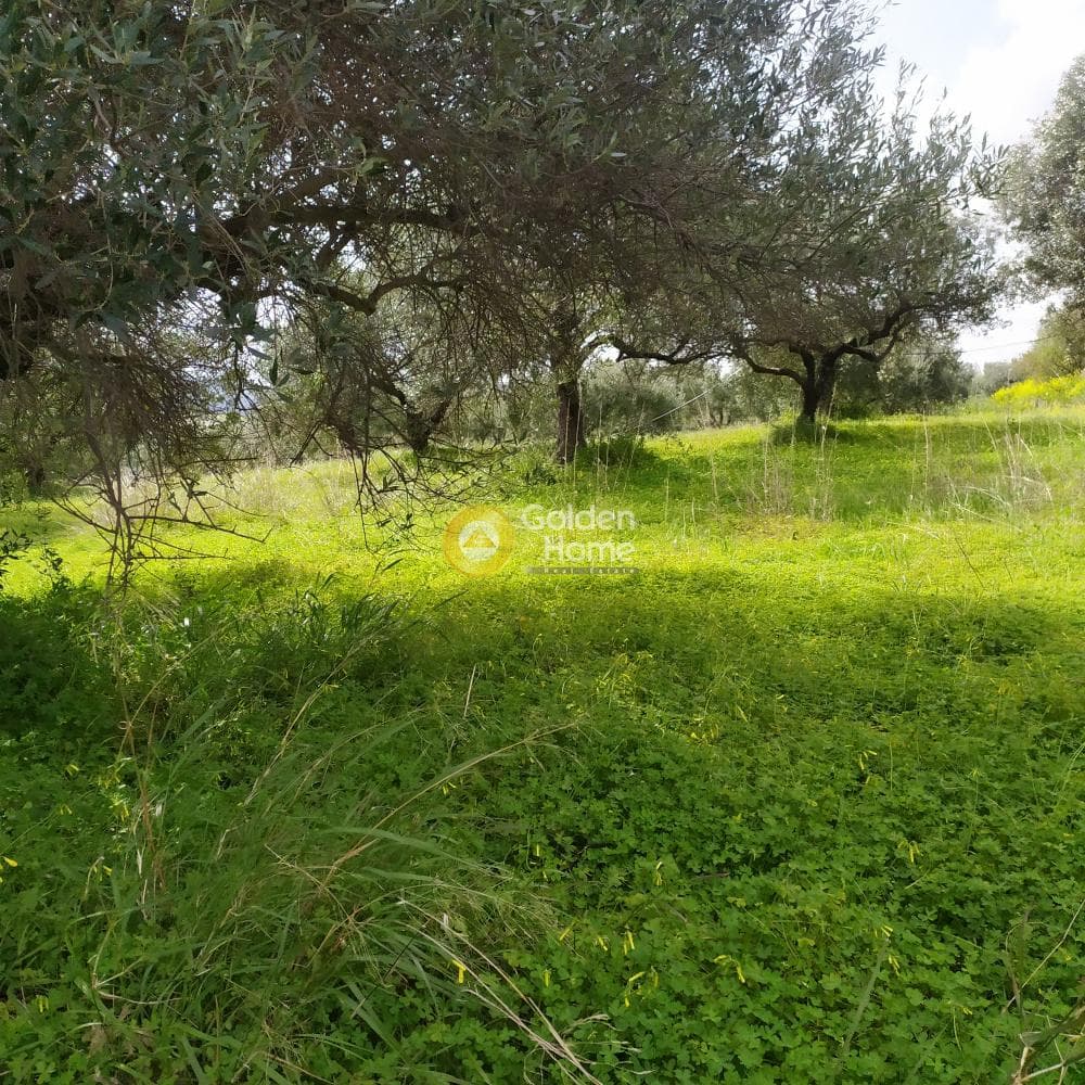 Building Plot in Skalani, Episkopi — Photo 4 of 49
