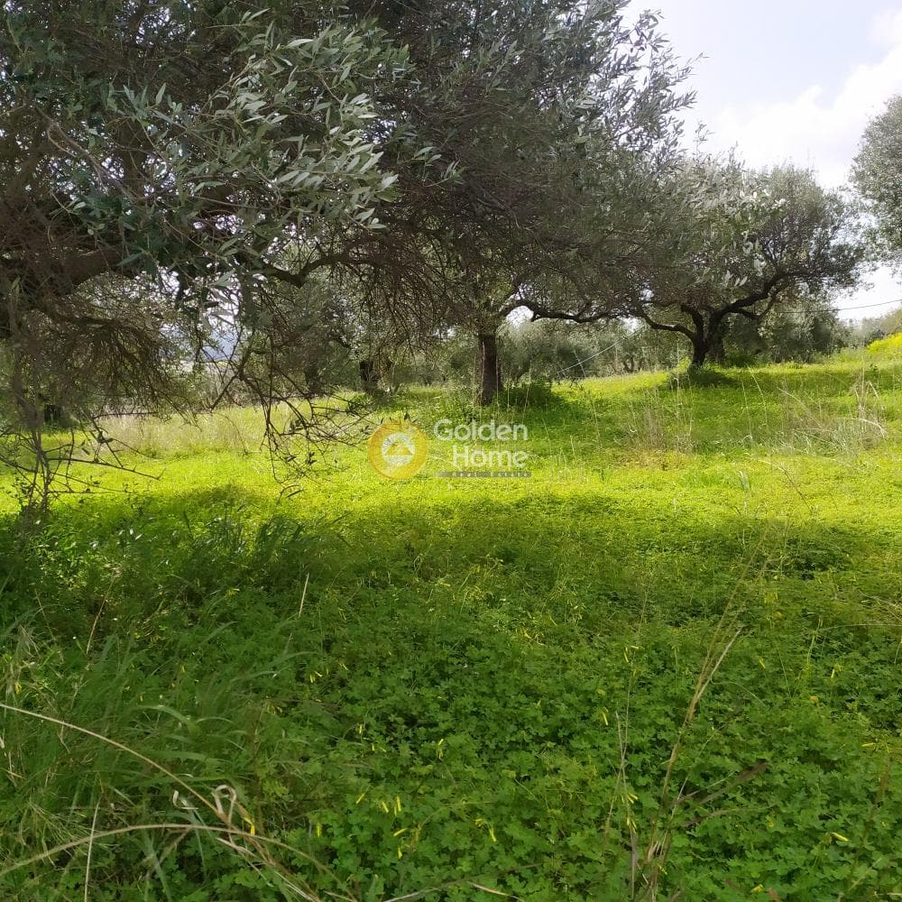 Building Plot in Skalani, Episkopi — Photo 12 of 49