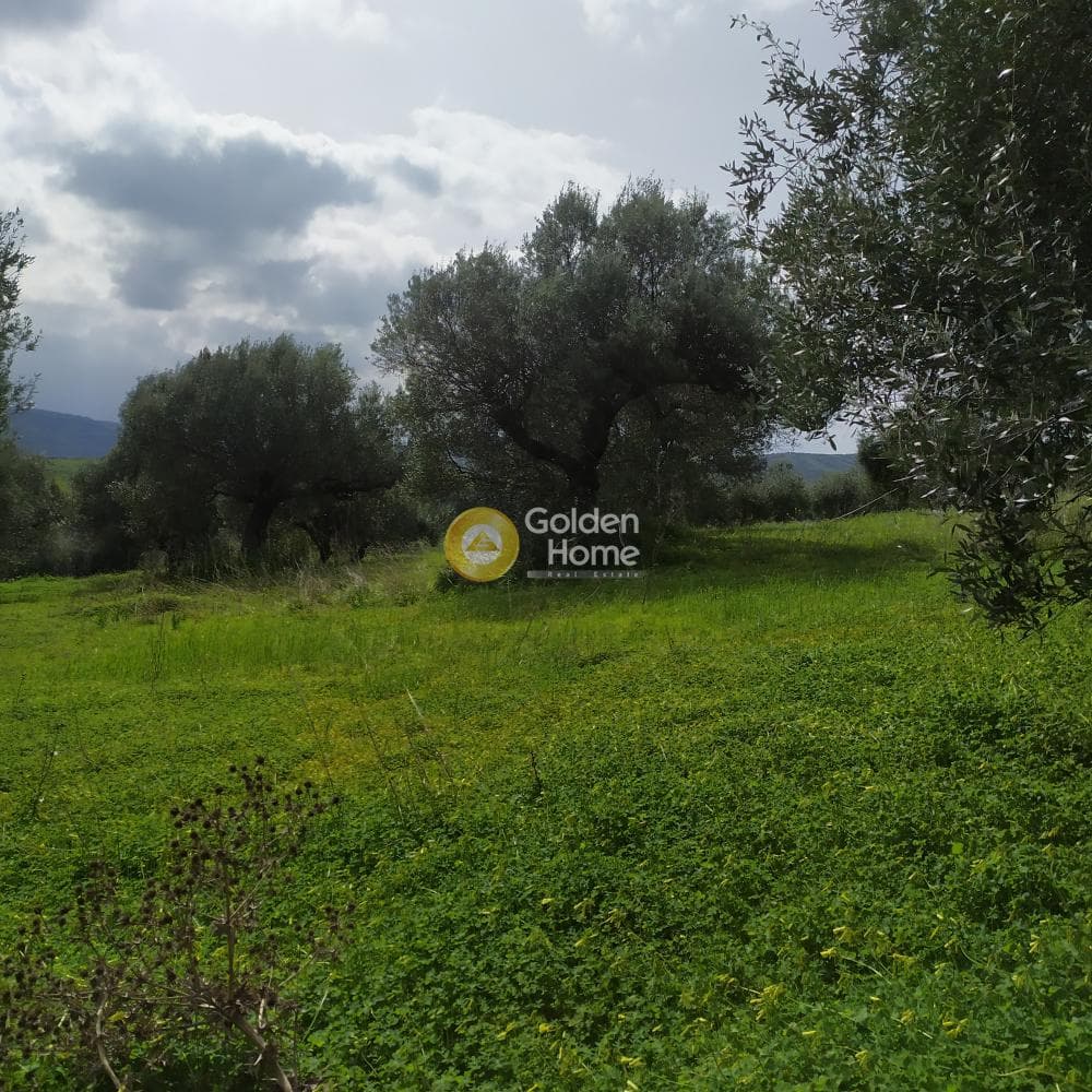 Building Plot in Skalani, Episkopi — Photo 8 of 49