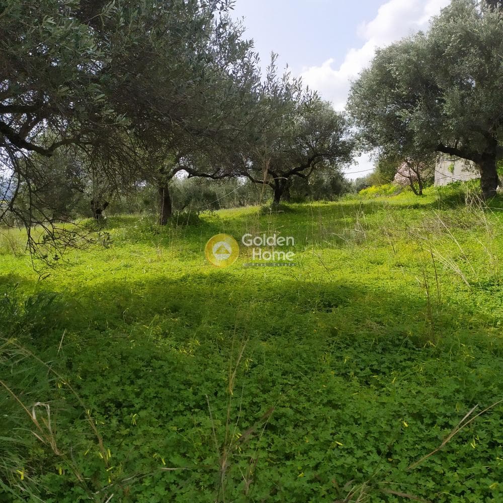 Building Plot in Skalani, Episkopi — Photo 7 of 49