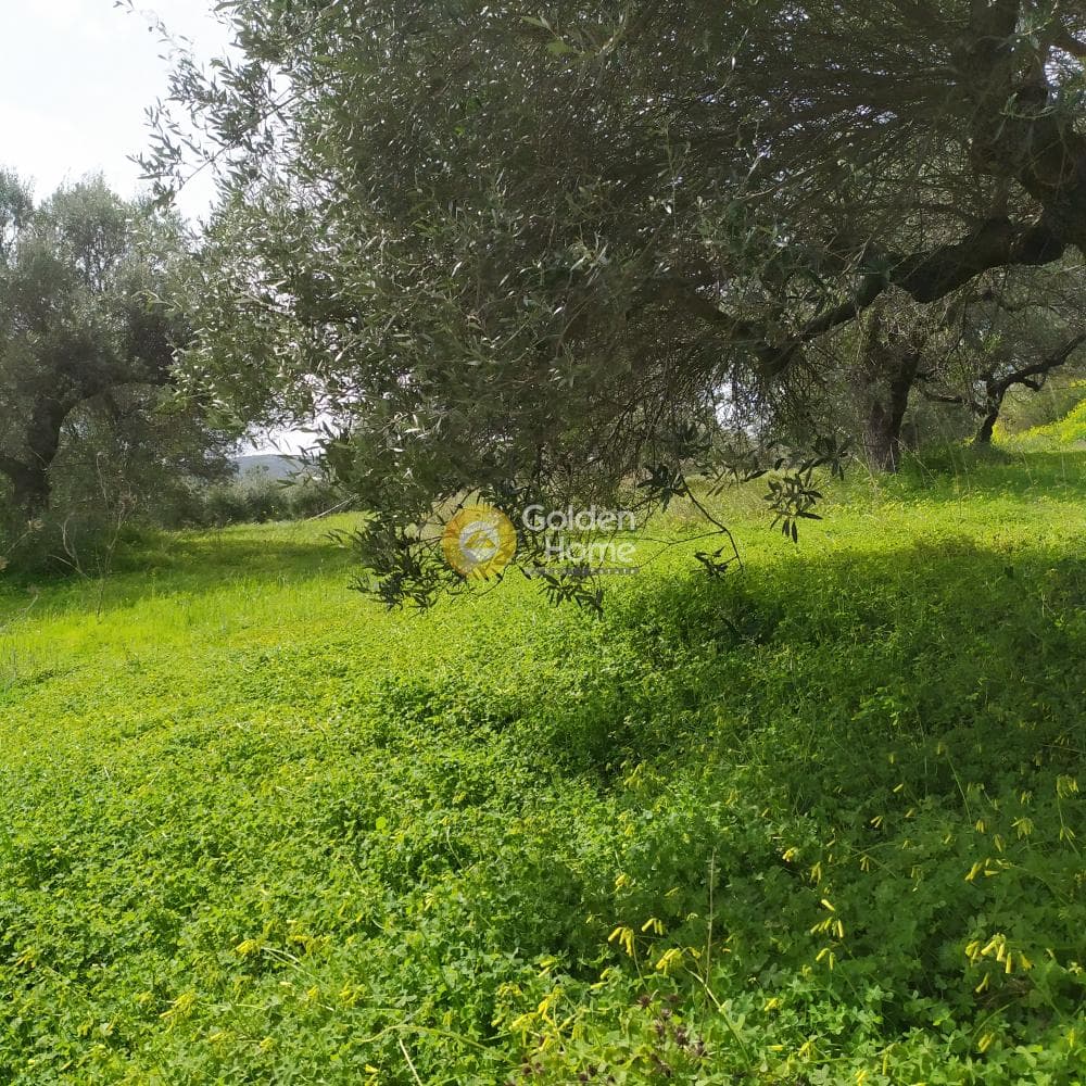 Building Plot in Skalani, Episkopi — Photo 13 of 49