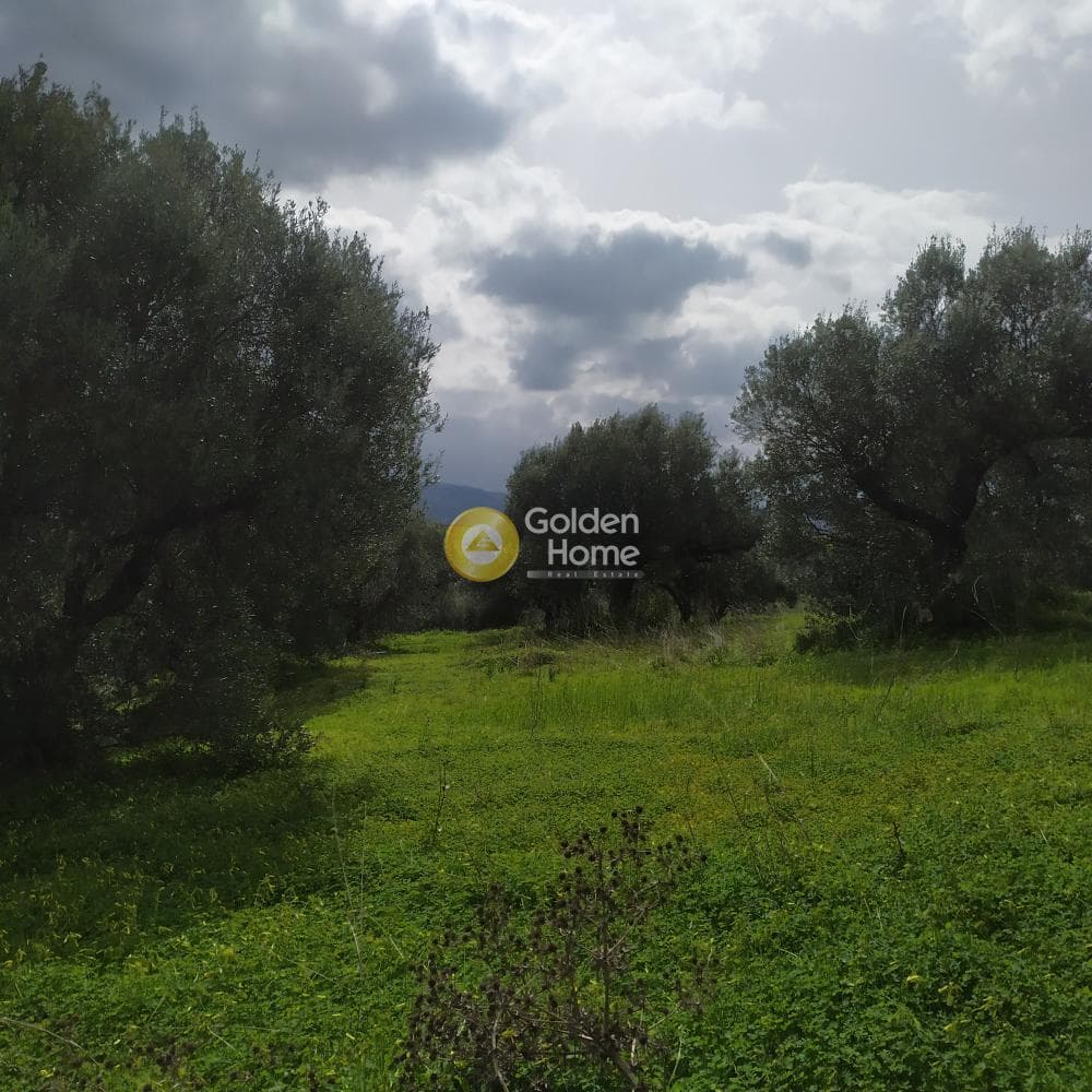 Building Plot in Skalani, Episkopi — Photo 16 of 49