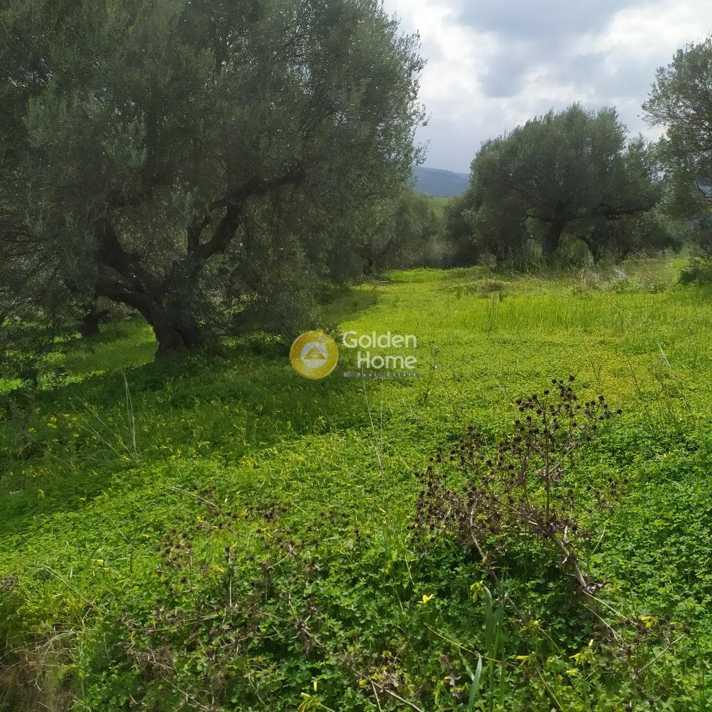 Building Plot in Skalani, Episkopi — Photo 14 of 49
