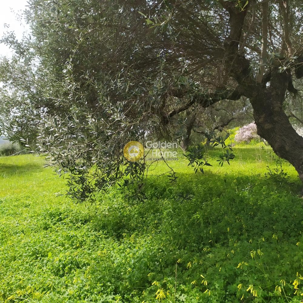 Building Plot in Skalani, Episkopi — Photo 20 of 49