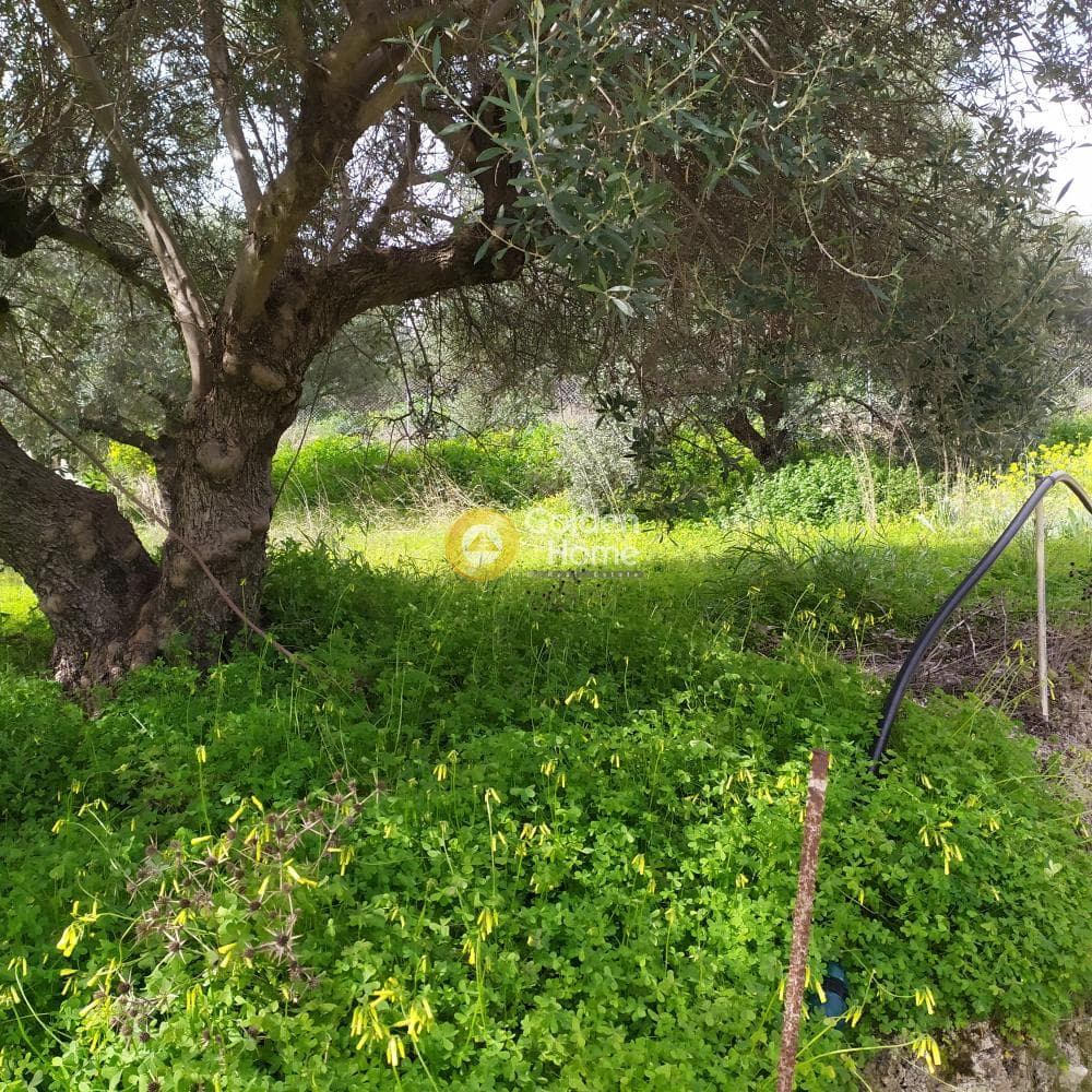 Building Plot in Skalani, Episkopi — Photo 25 of 49