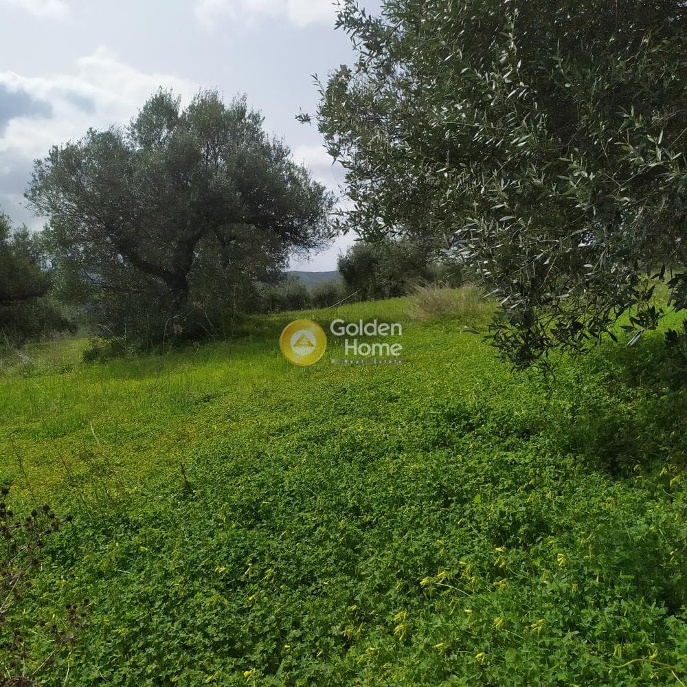 Building Plot in Skalani, Episkopi — Photo 26 of 49