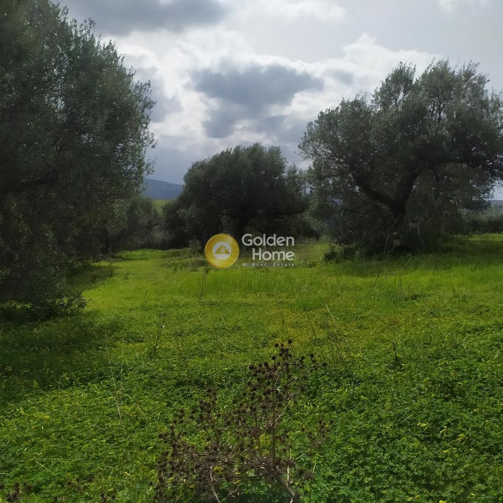 Building Plot in Skalani, Episkopi — Photo 28 of 49