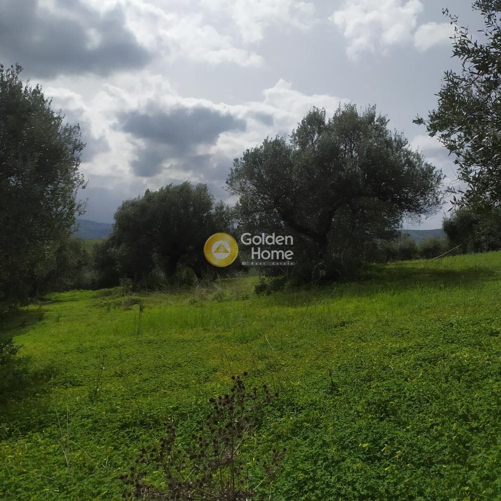 Building Plot in Skalani, Episkopi — Photo 32 of 49