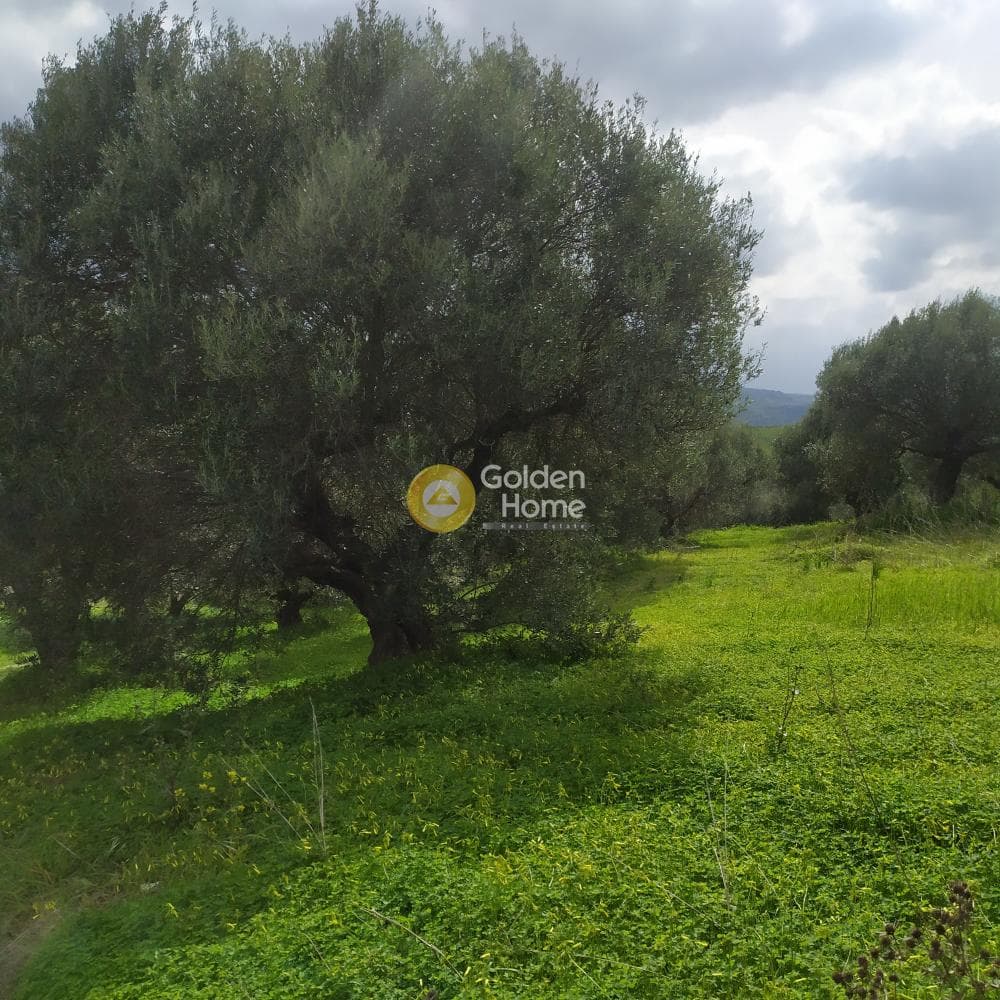 Building Plot in Skalani, Episkopi — Photo 30 of 49