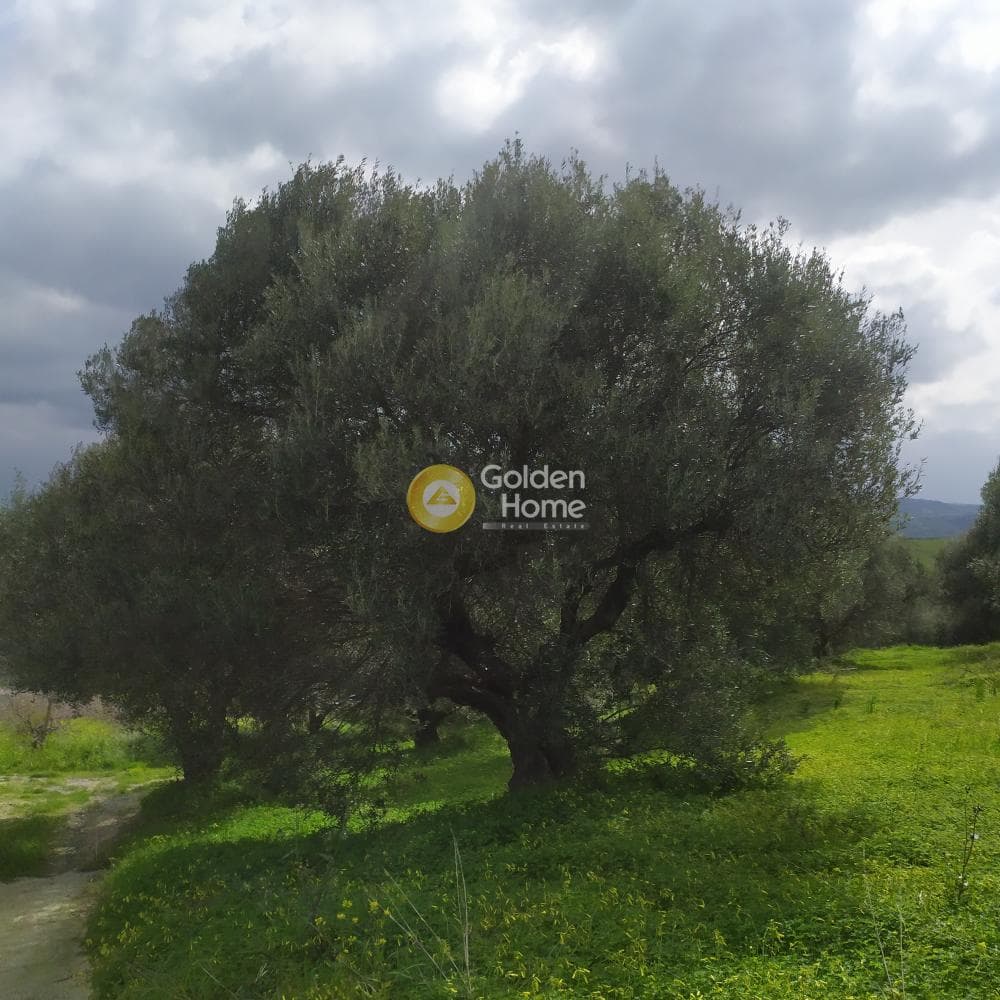 Building Plot in Skalani, Episkopi — Photo 33 of 49
