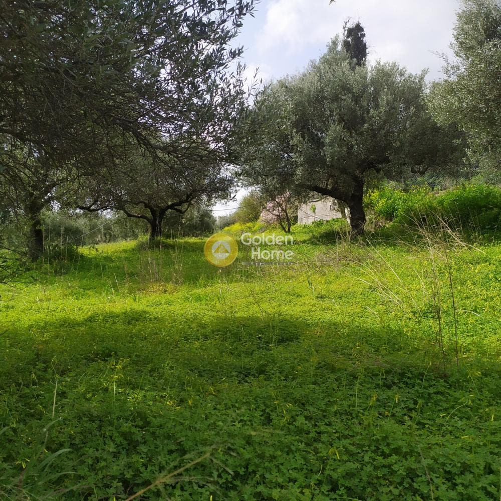 Building Plot in Skalani, Episkopi — Photo 35 of 49