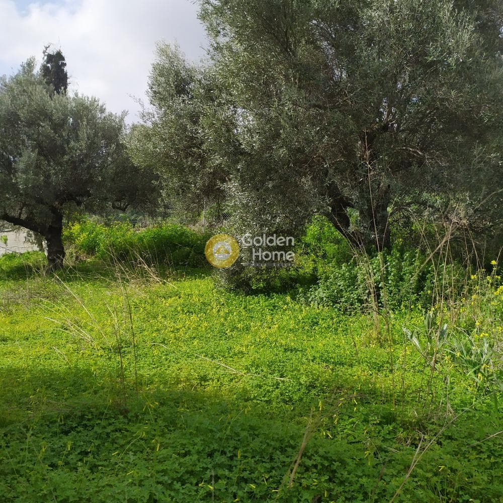 Building Plot in Skalani, Episkopi — Photo 39 of 49