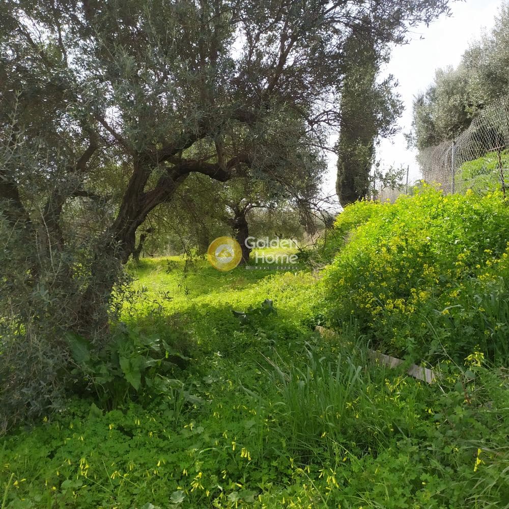 Building Plot in Skalani, Episkopi — Photo 38 of 49