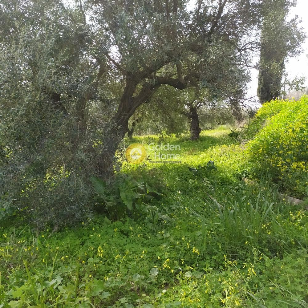 Building Plot in Skalani, Episkopi — Photo 41 of 49