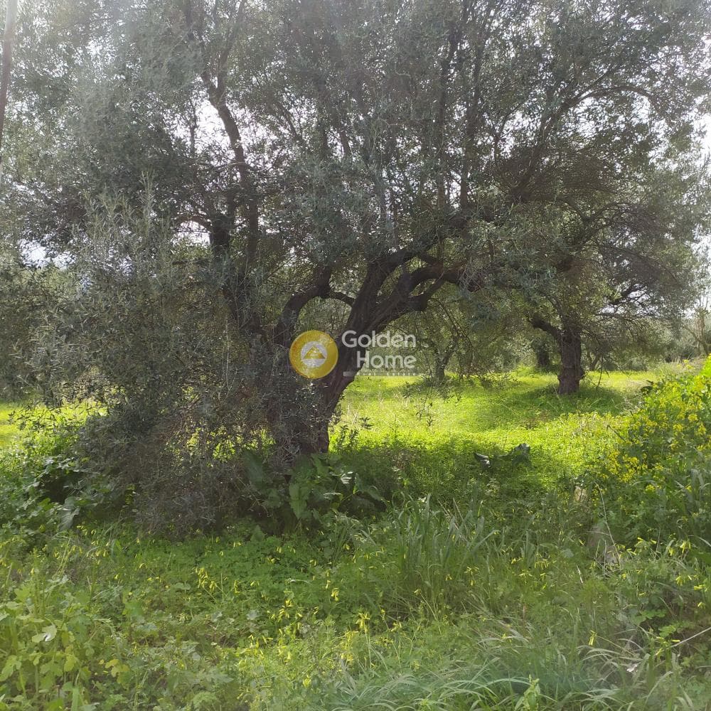 Building Plot in Skalani, Episkopi — Photo 45 of 49
