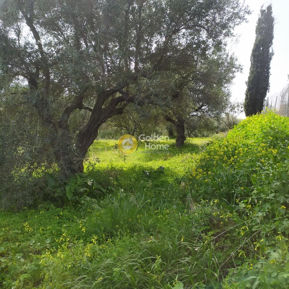 Building Plot in Skalani, Episkopi — Photo 43 of 49