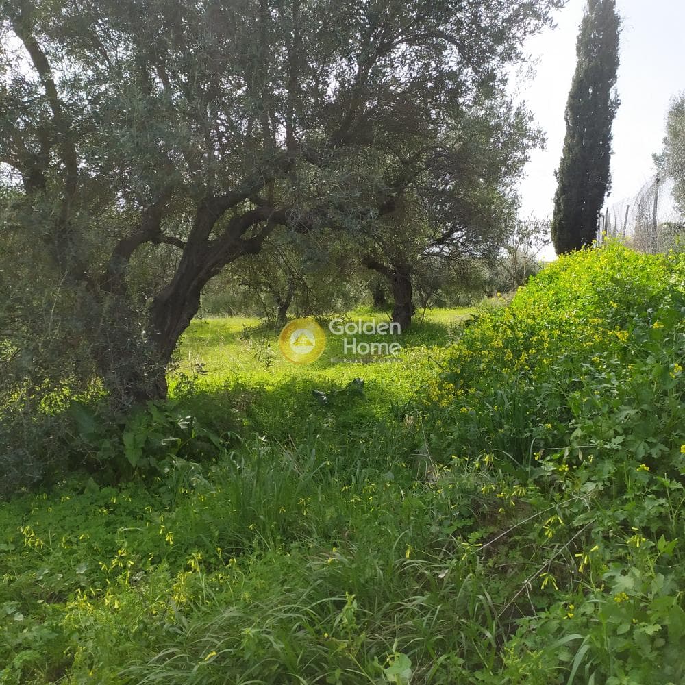 Building Plot in Skalani, Episkopi — Photo 47 of 49