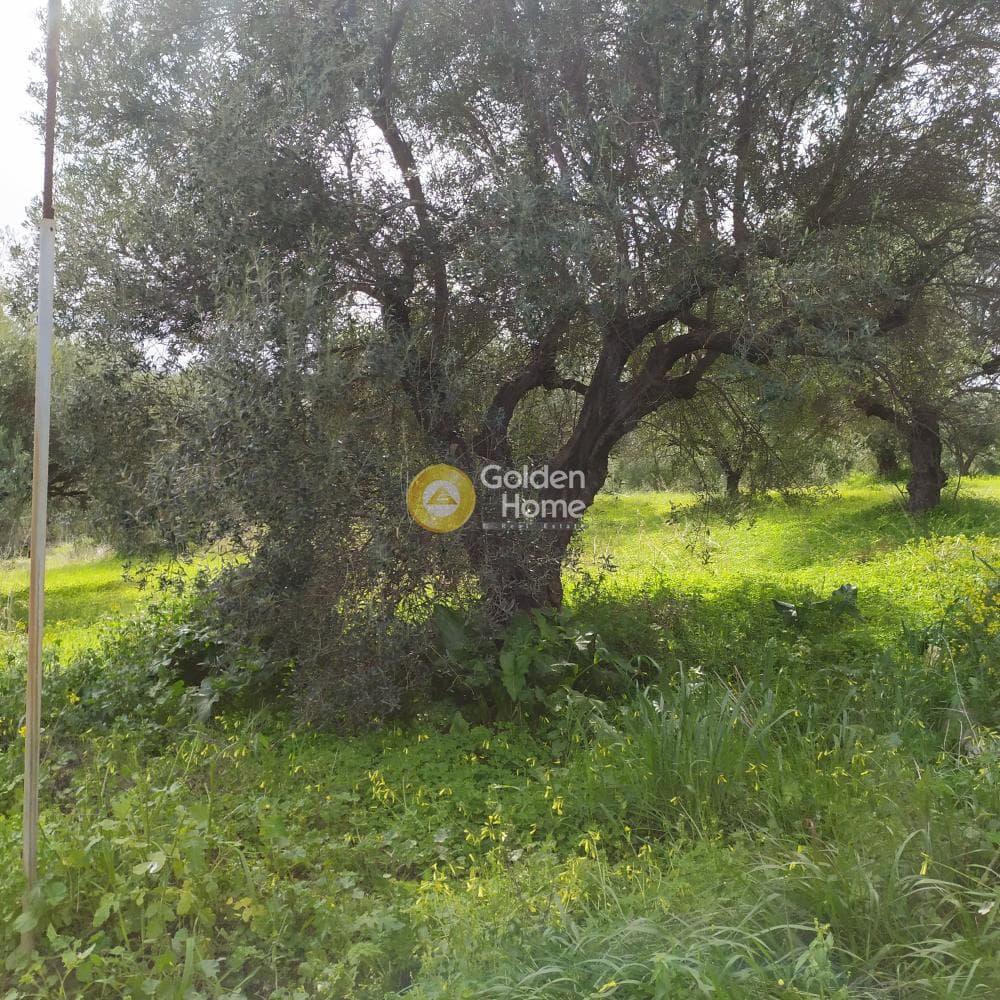 Building Plot in Skalani, Episkopi — Photo 48 of 49