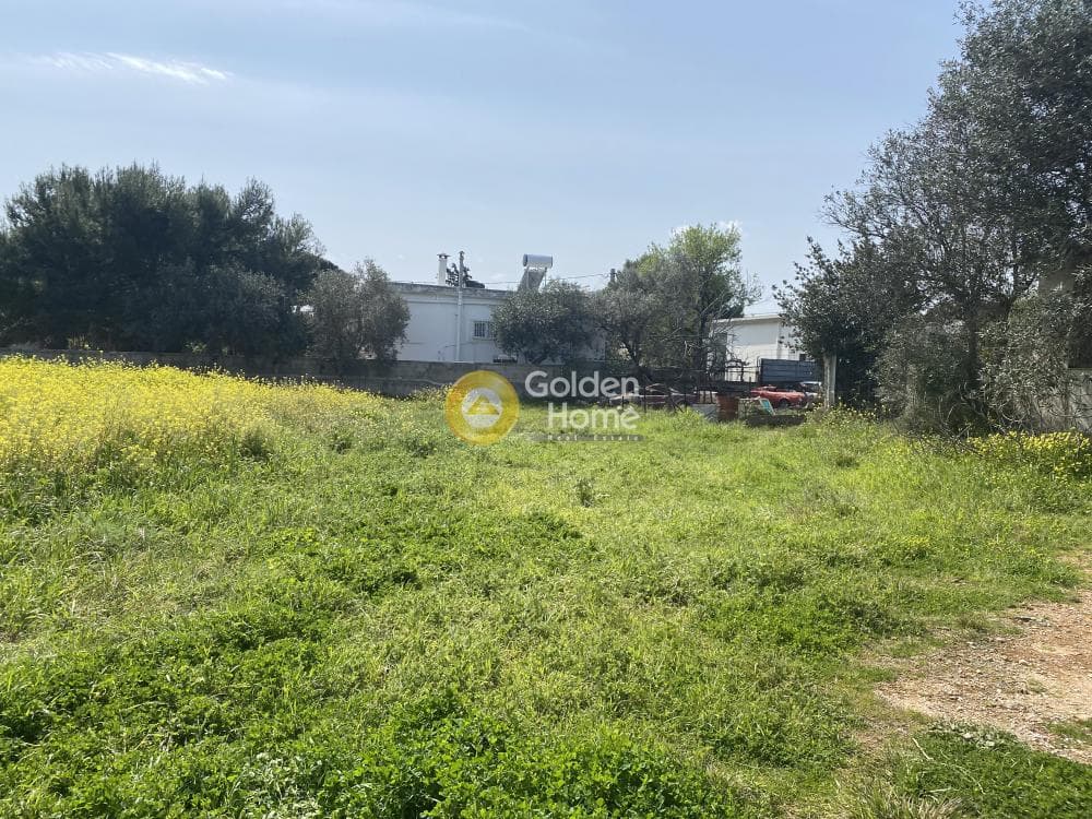 Οικόπεδο στην Κέντρο, Αρτέμιδα (Λούτσα) — Φωτογραφία 2 από 5