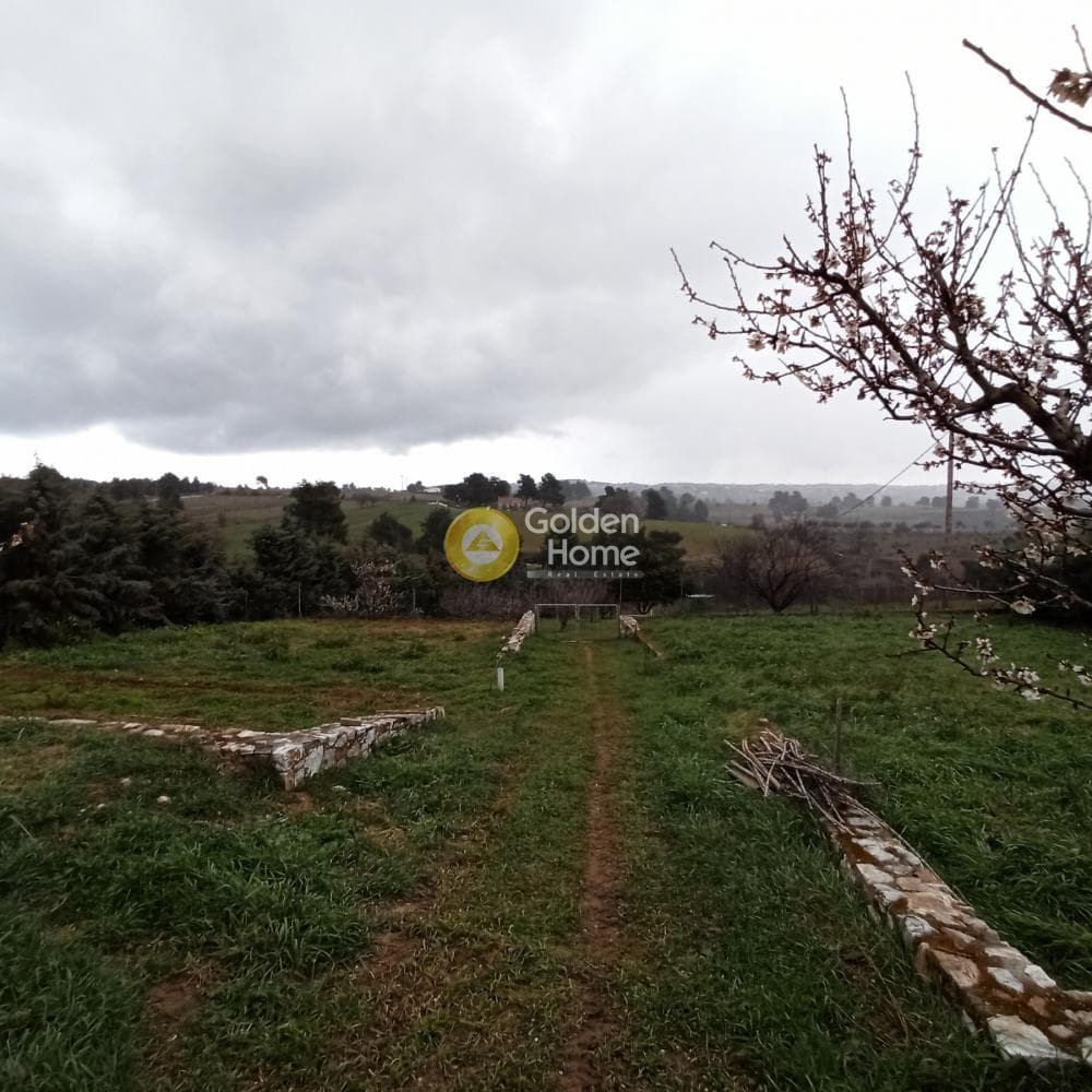 House in Agioi Anargiroi, Com. Kapandriti — Photo 27 of 35