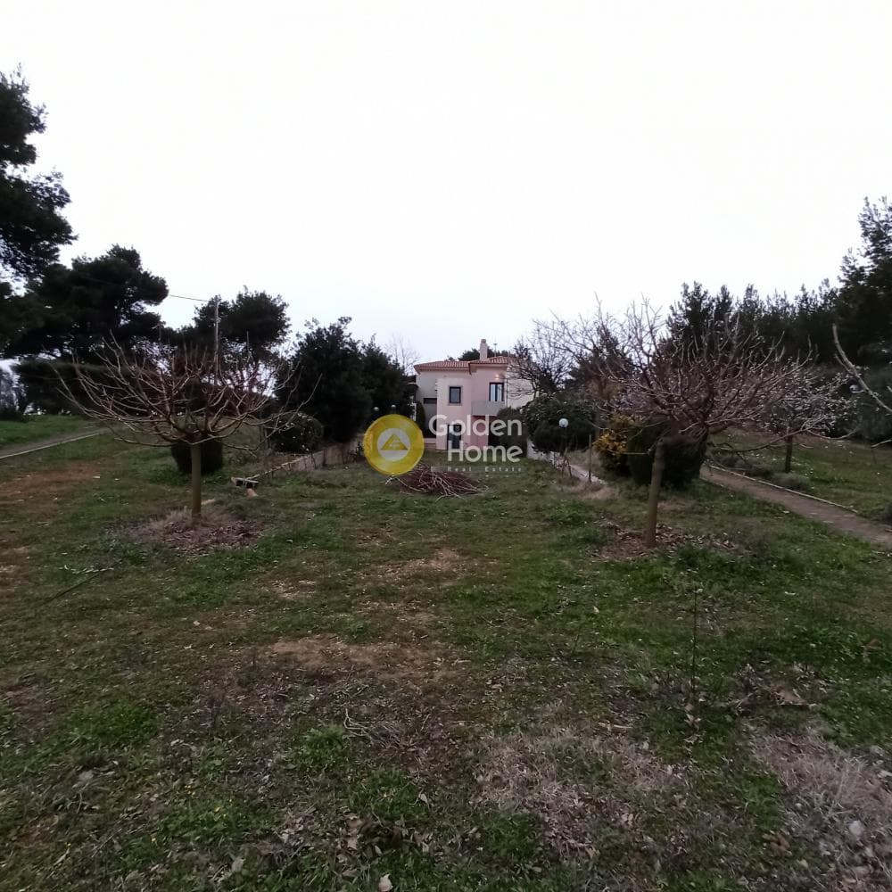 House in Agioi Anargiroi, Com. Kapandriti — Photo 31 of 35