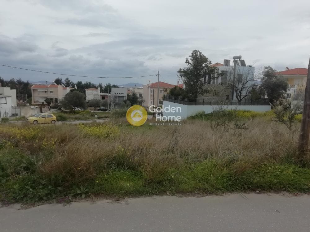 Οικόπεδο στην Αγία Τριάδα, Παιανία — Φωτογραφία 7 από 10