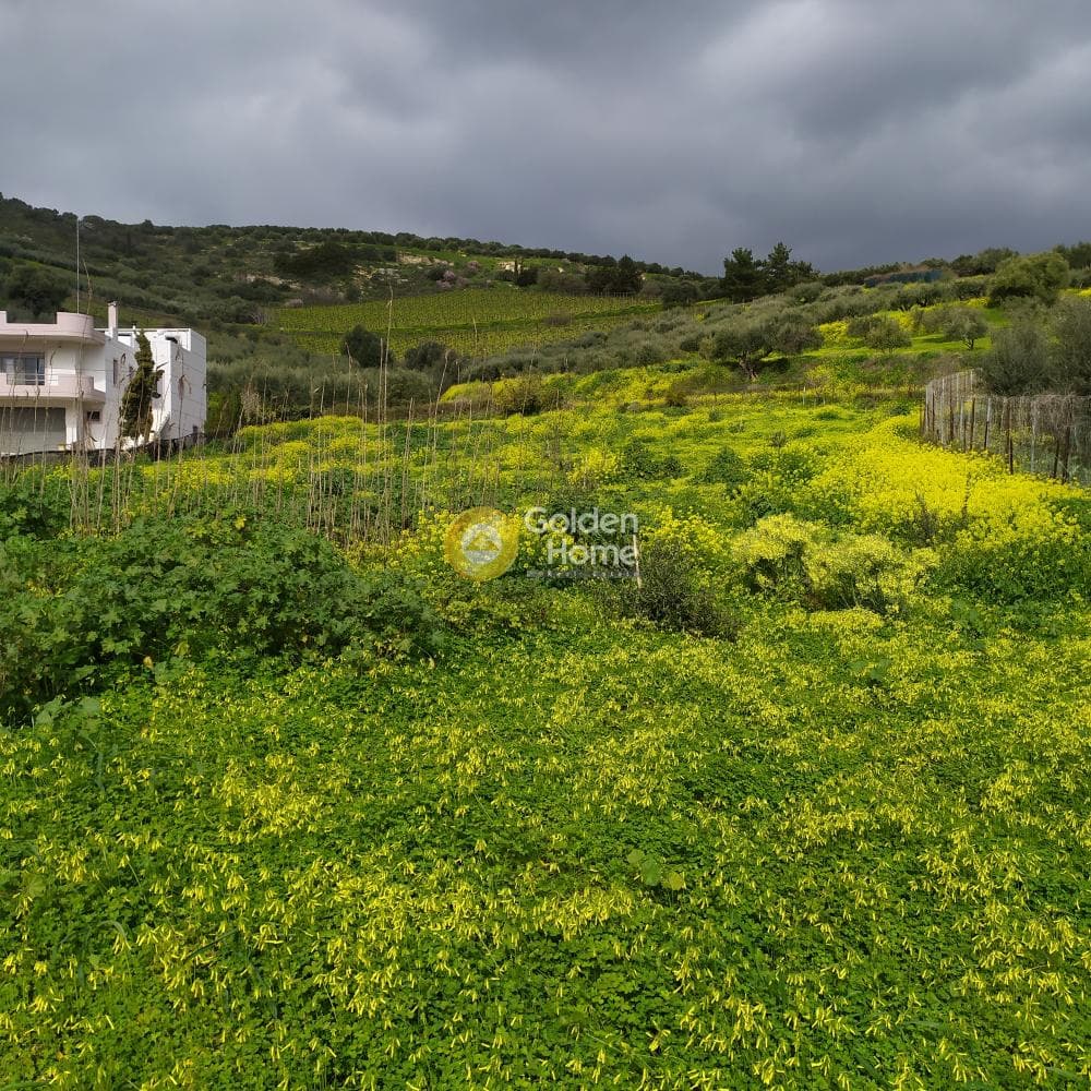 Οικόπεδο στην Πατσίδες, Αρχάνες — Φωτογραφία 1 από 42