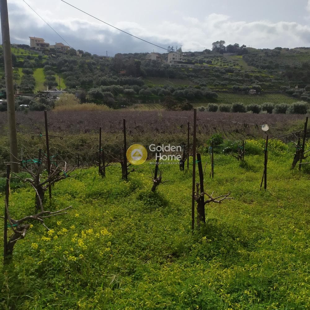 Οικόπεδο στην Πατσίδες, Αρχάνες — Φωτογραφία 7 από 42