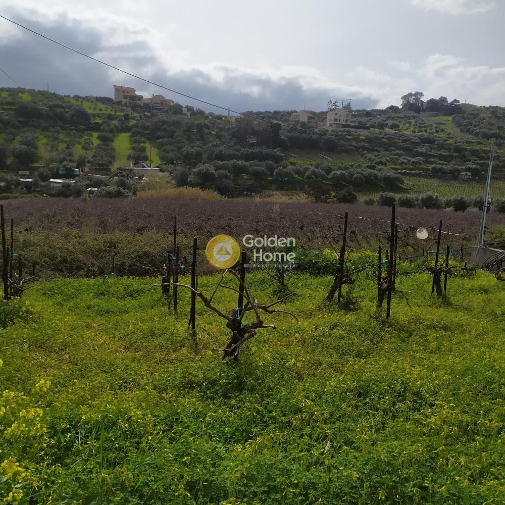 Οικόπεδο στην Πατσίδες, Αρχάνες — Φωτογραφία 16 από 42