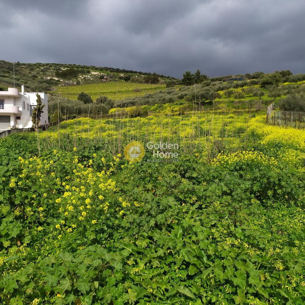 Οικόπεδο στην Πατσίδες, Αρχάνες — Φωτογραφία 22 από 42