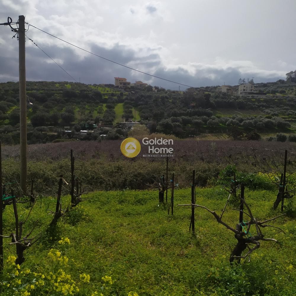 Οικόπεδο στην Πατσίδες, Αρχάνες — Φωτογραφία 26 από 42