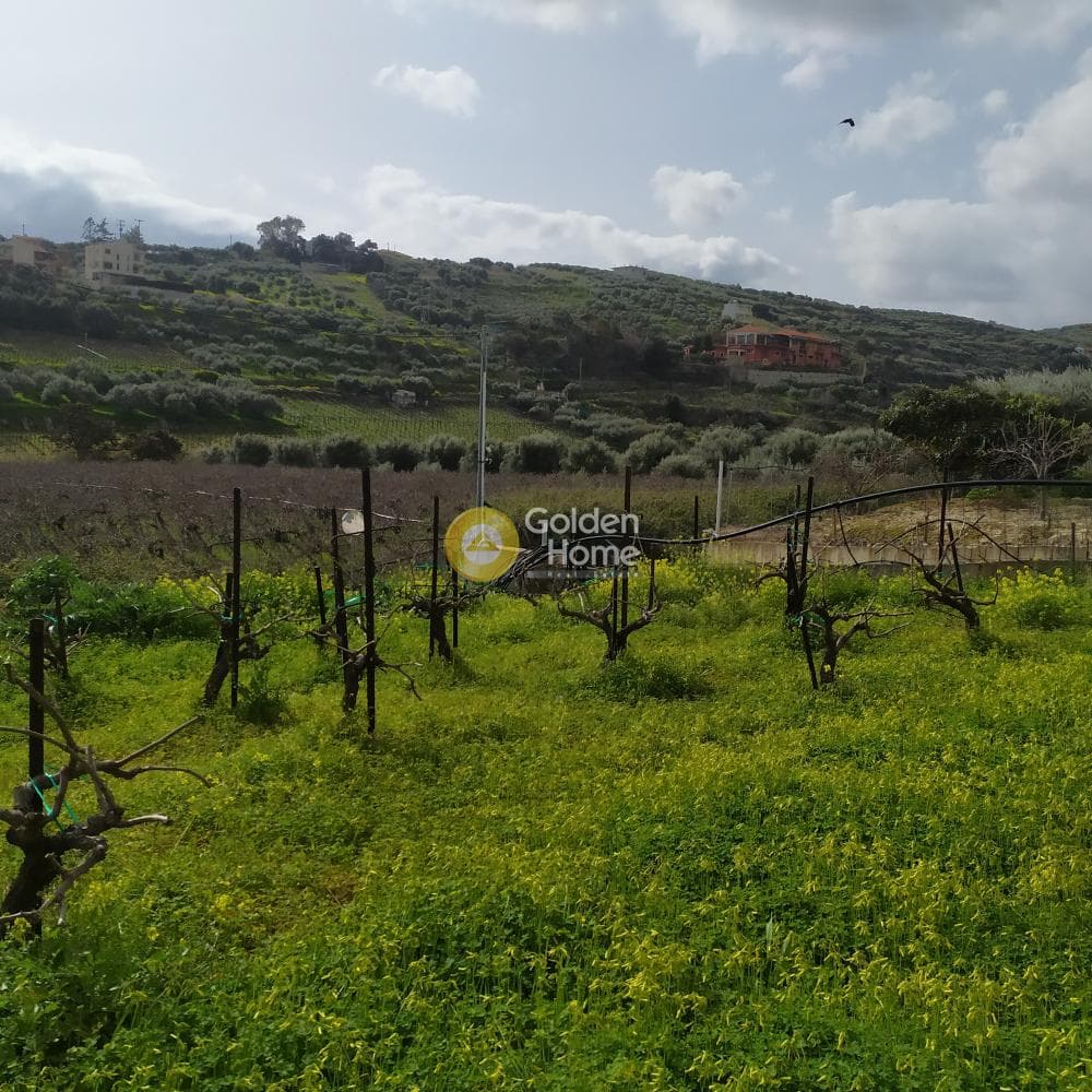 Οικόπεδο στην Πατσίδες, Αρχάνες — Φωτογραφία 29 από 42
