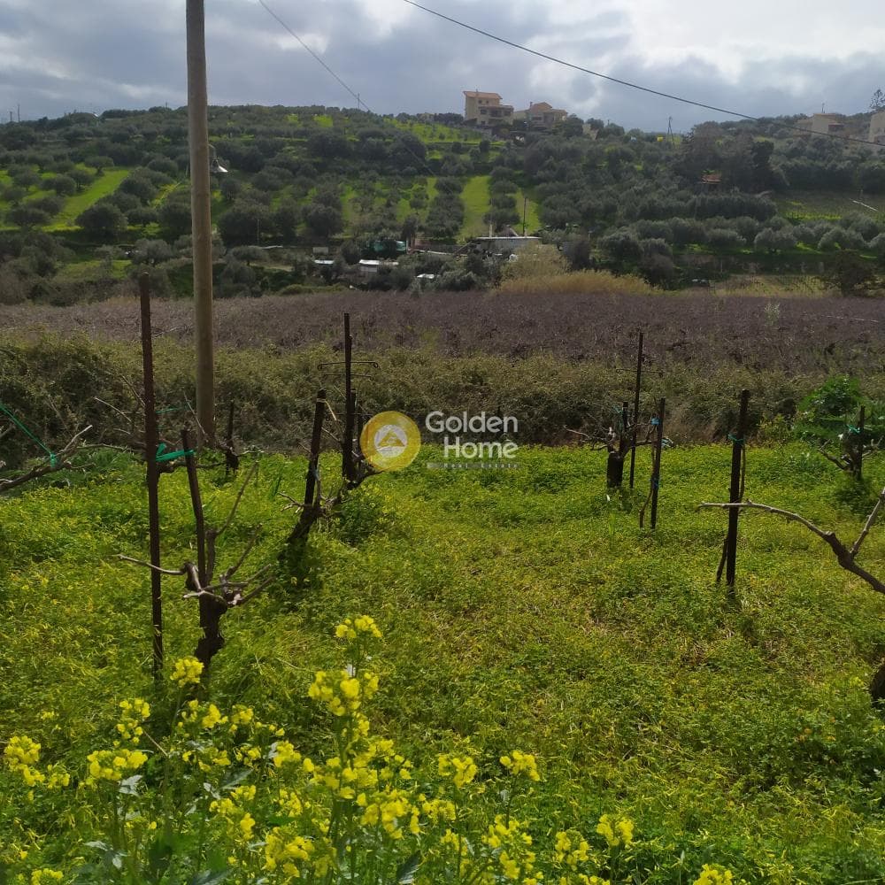 Οικόπεδο στην Πατσίδες, Αρχάνες — Φωτογραφία 33 από 42