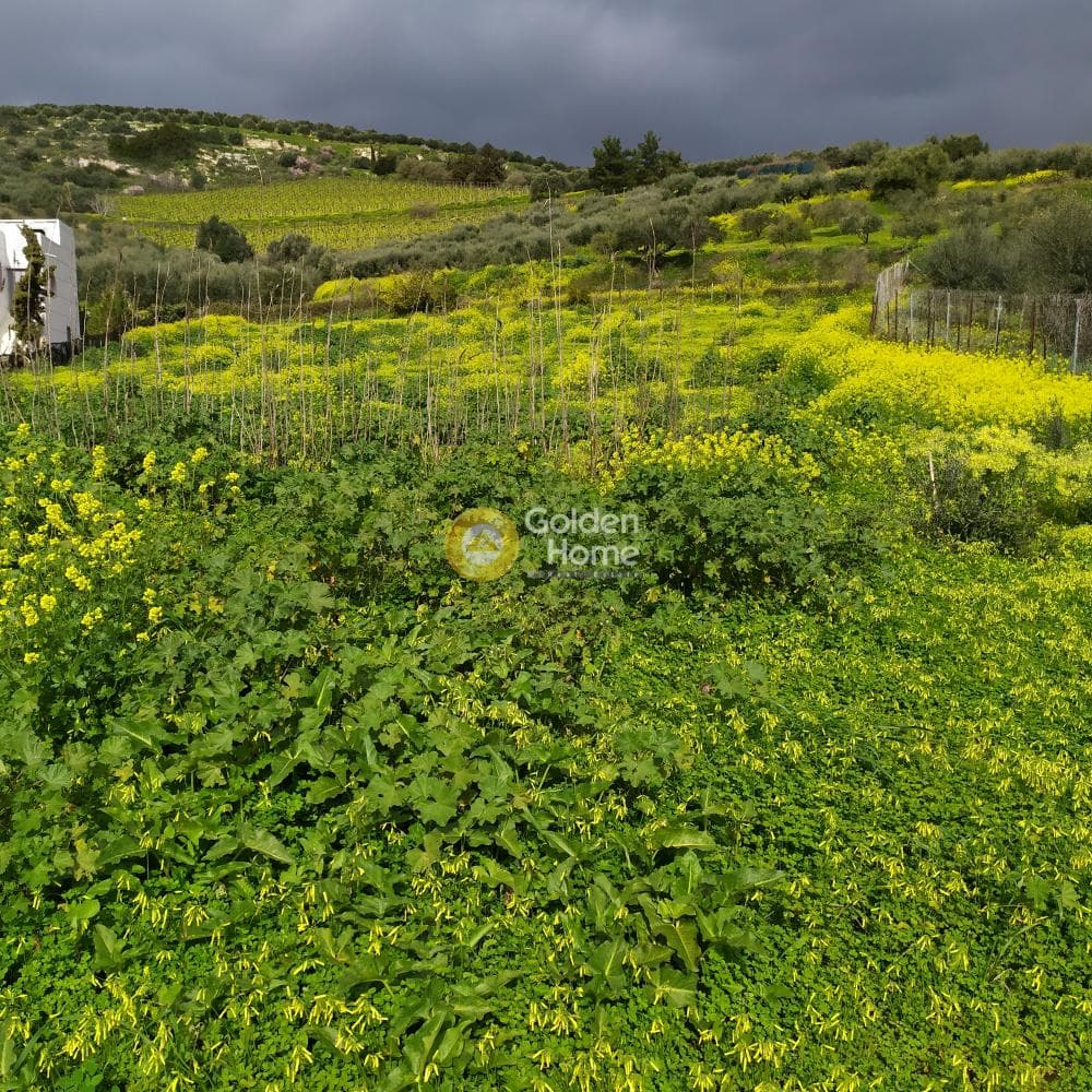 Οικόπεδο στην Πατσίδες, Αρχάνες — Φωτογραφία 34 από 42