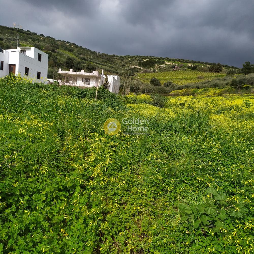Οικόπεδο στην Πατσίδες, Αρχάνες — Φωτογραφία 36 από 42
