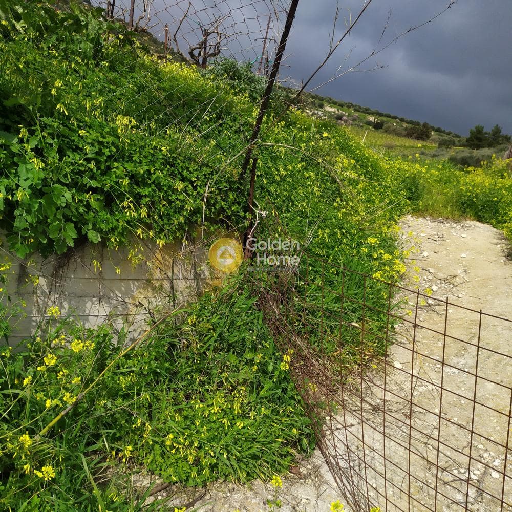 Οικόπεδο στην Πατσίδες, Αρχάνες — Φωτογραφία 41 από 42