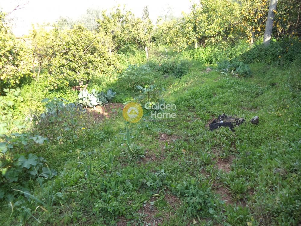 Μονοκατοικία στην Σελινούντας, Αίγιο — Φωτογραφία 10 από 16