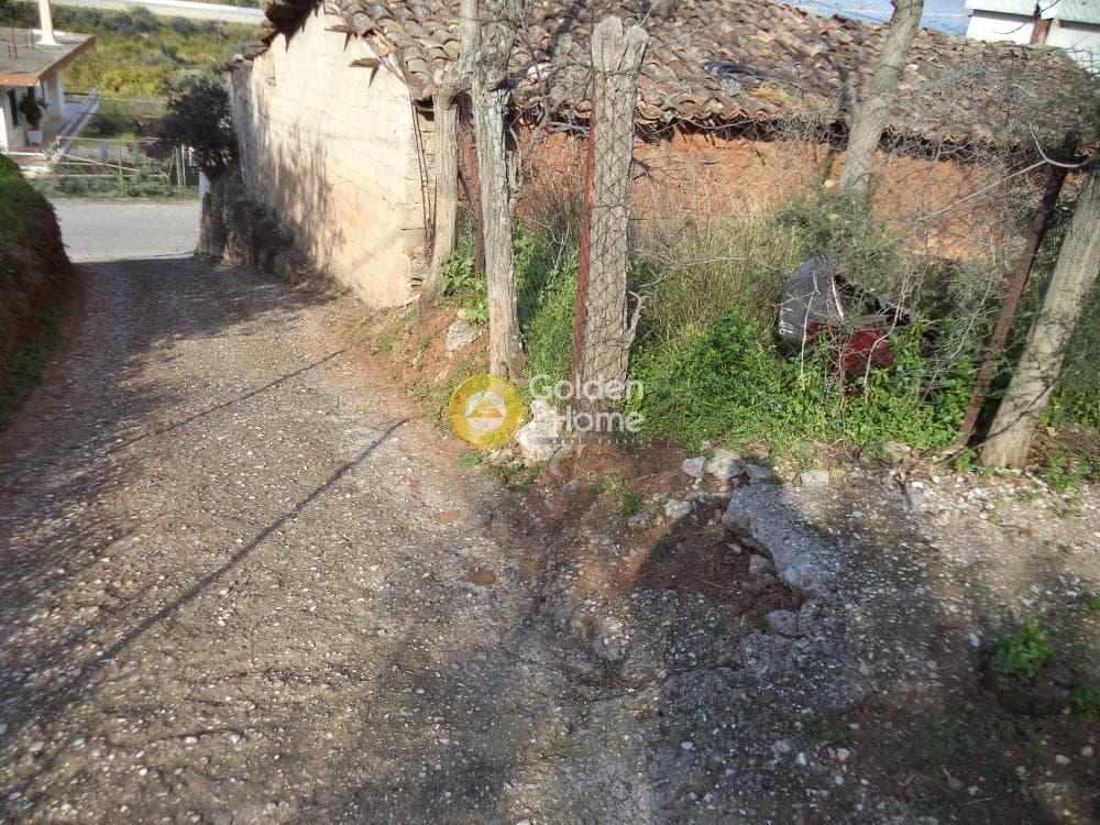 Μονοκατοικία στην Σελινούντας, Αίγιο — Φωτογραφία 13 από 16