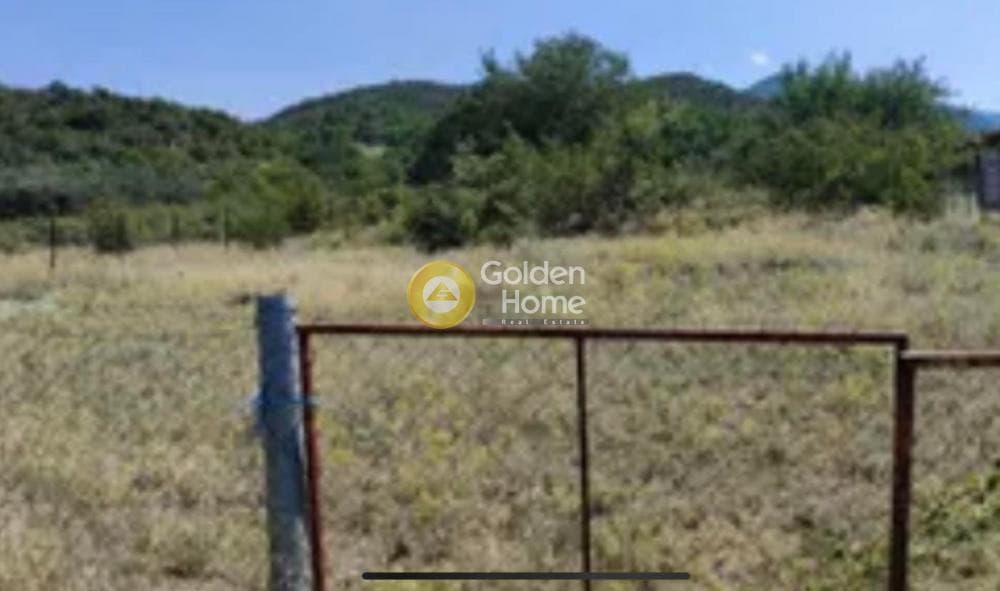 Building Plot in Kanakia, Salamina — Photo 2 of 3