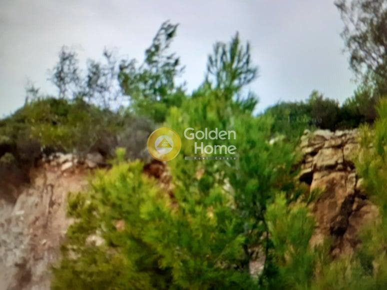 Οικόπεδο στην Ντράφι, Πικέρμι — Φωτογραφία 3 από 4