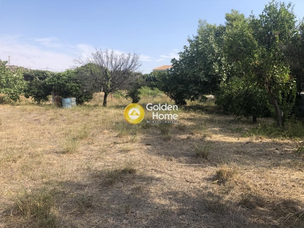 Building Plot in Kalivia, Kalivia Thorikou — Photo 1 of 4
