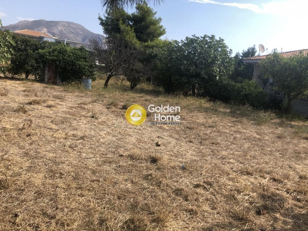 Building Plot in Kalivia, Kalivia Thorikou — Photo 3 of 4