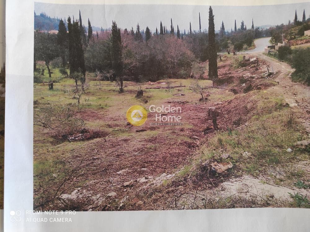 Building Plot in Achilleio, Corfu — Photo 4 of 6