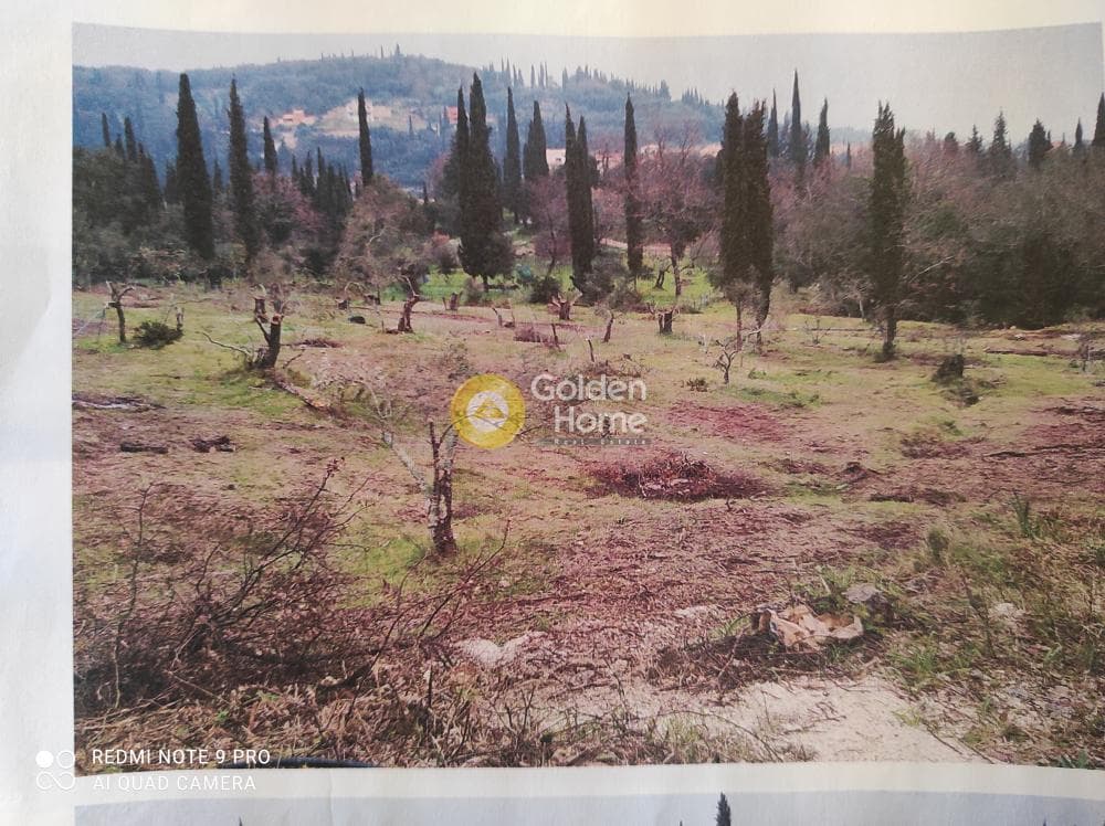 Building Plot in Achilleio, Corfu — Photo 5 of 6
