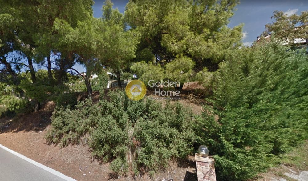 Οικόπεδο στην Μεγάλα Σχοινία Α, Αχαρνές