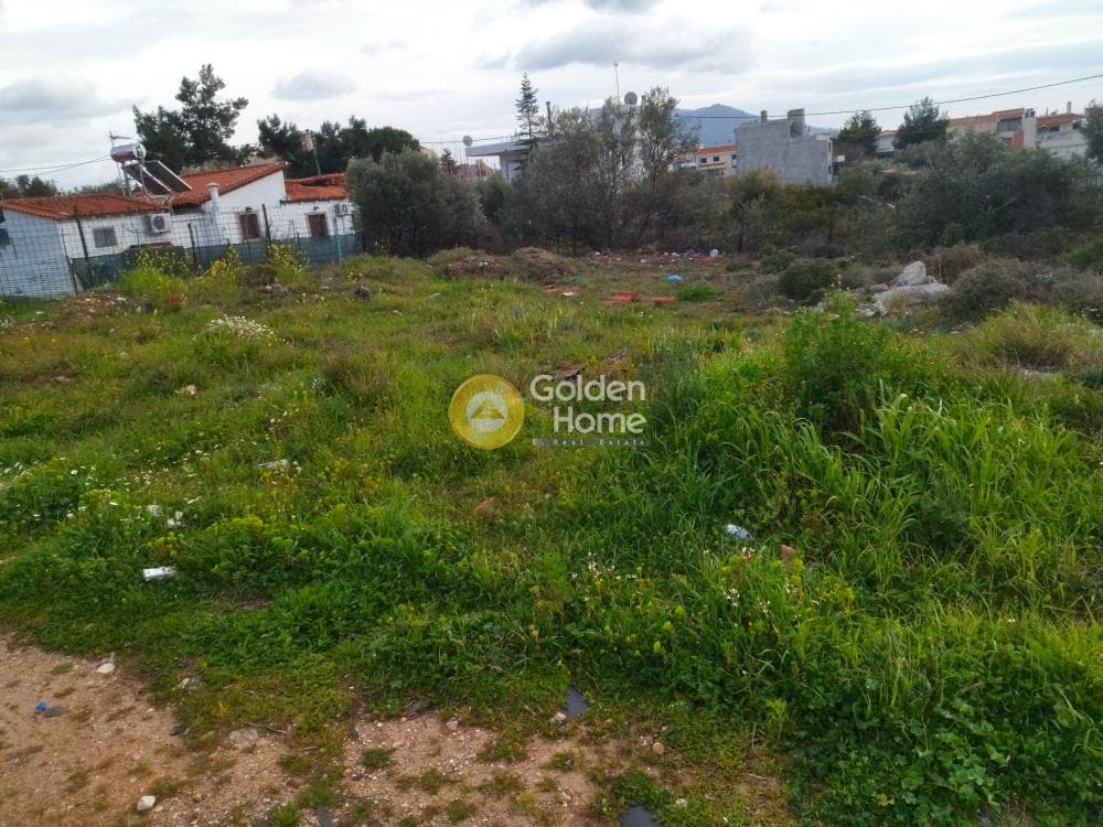 Parcel in Patima, Chalandri — Photo 1 of 3