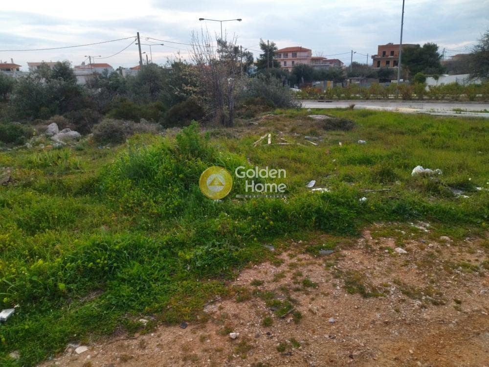 Parcel in Patima, Chalandri — Photo 2 of 3