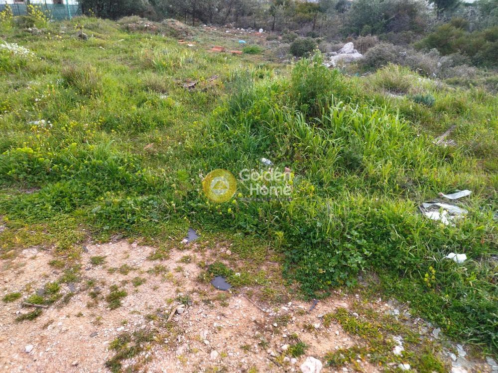 Parcel in Patima, Chalandri — Photo 3 of 3