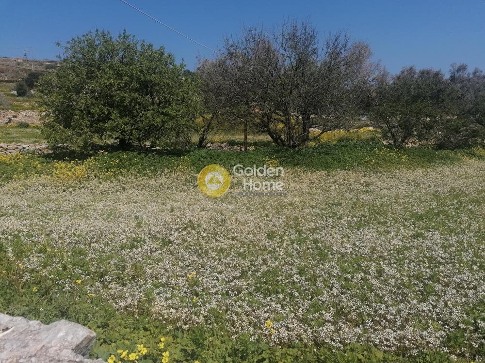 Οικόπεδο στην Σύρος, Σύρος — Φωτογραφία 18 από 50
