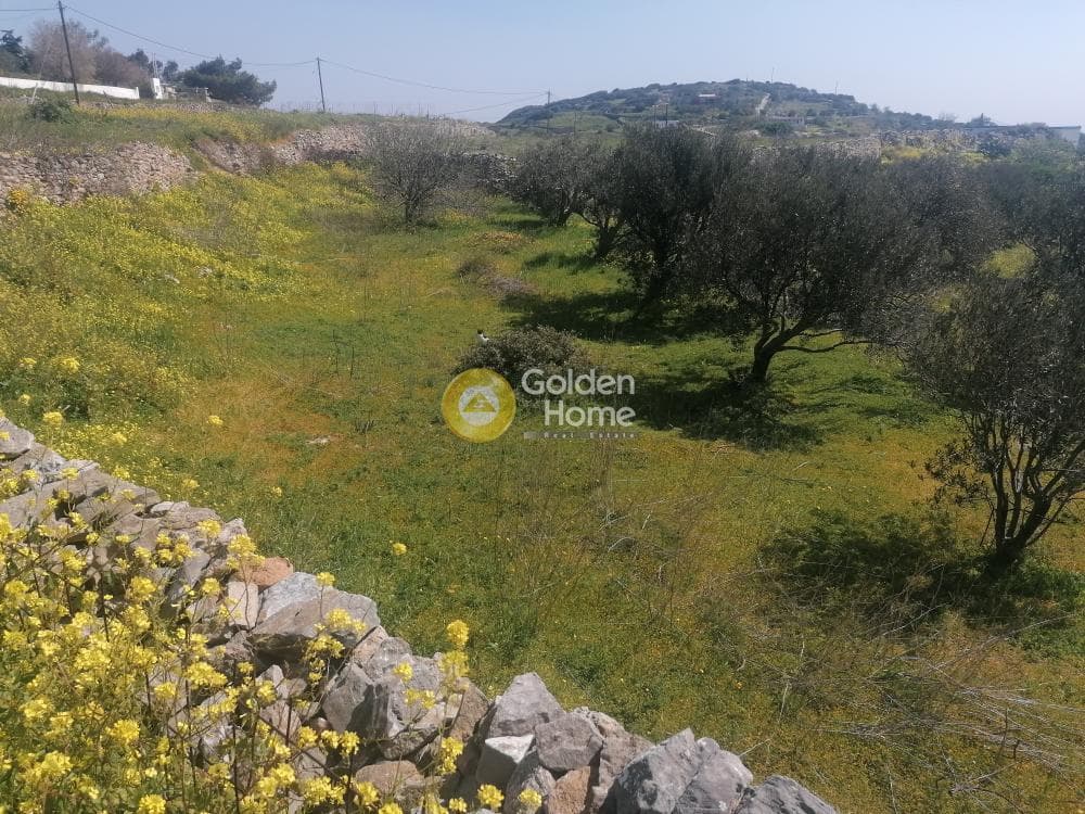 Οικόπεδο στην Σύρος, Σύρος — Φωτογραφία 22 από 50